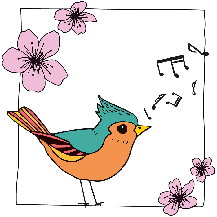 Ein bunter zwitschernder Vogel mit rosa Blueten - gezeichnet von Jana Rauthenstrauch fuer das Buch Wuerzburg fuer Kids & Co
