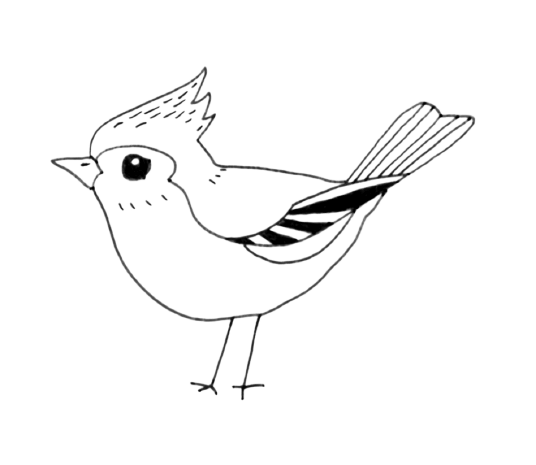 Ein kleiner Vogel - gezeichnet von Jana Rauthenstrauch fuer das Buch Wuerzburg fuer Kids & Co