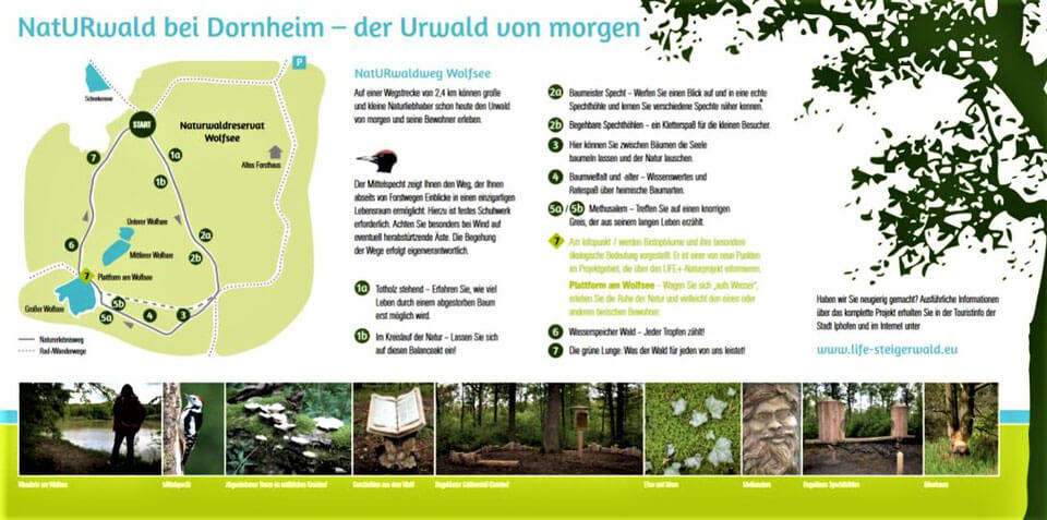 Naturwaldreservat Wolfsee - Bild Flyer