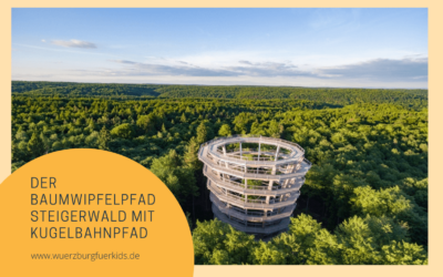 Kennst du beim Baumwipfelpfad Steigerwald den genialen Kugelbahnpfad?
