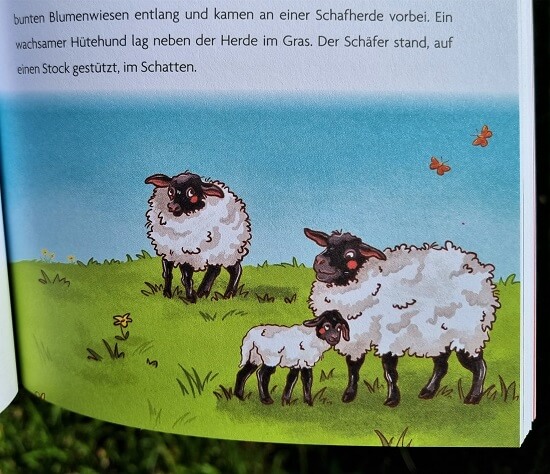 Rhönschafe im Buch "Das kleine Gespenst Vincent entdeckt die Rhön" - Text: Anja Tettenborn, Illustration: Bibi Hecher
