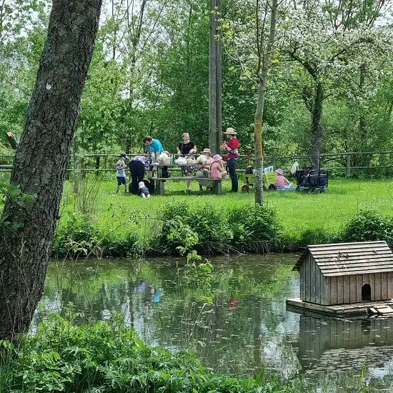 Freilandmuseum Fladungen für Kinder - Picknick am Weiher
