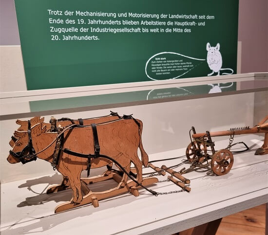 Freilandmuseum Fladungen für Kinder - Sonderausstellung - Ochsen ziehen einen Wagen