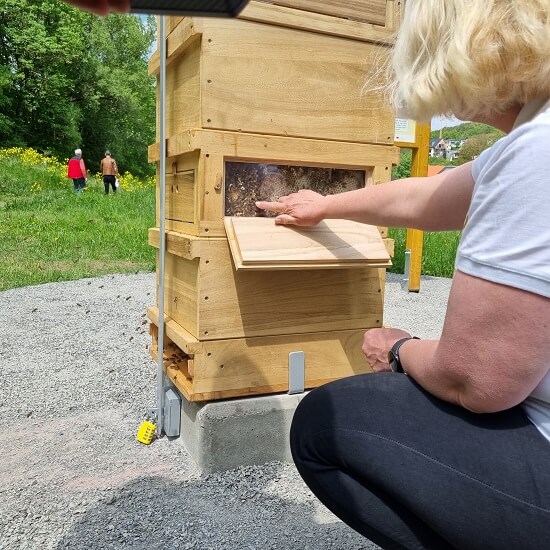 Die Imkerin Martina Schlereth hat den Würzburger Bienenlehrpfad mitgestaltet - am Bienenstock