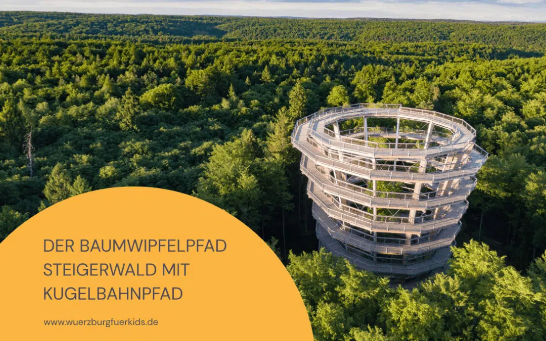 Kennst du beim Baumwipfelpfad Steigerwald den genialen Kugelbahnpfad?