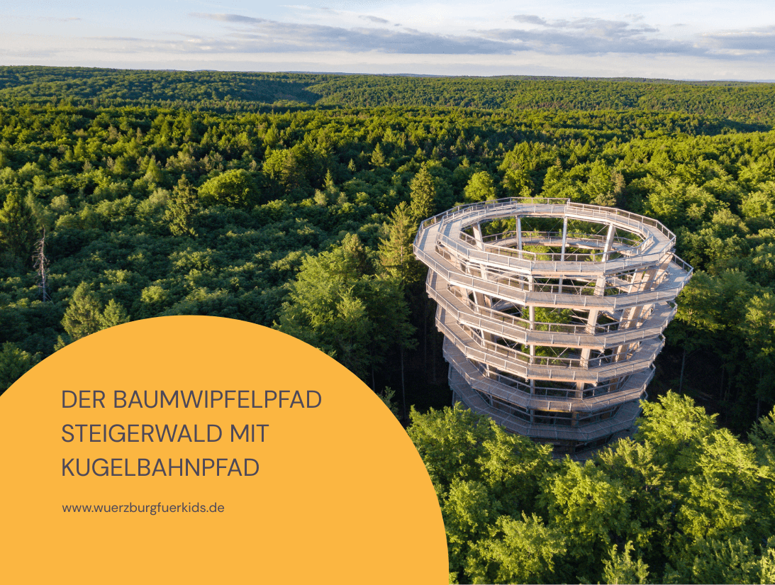 Kennst du beim Baumwipfelpfad Steigerwald den genialen Kugelbahnpfad?