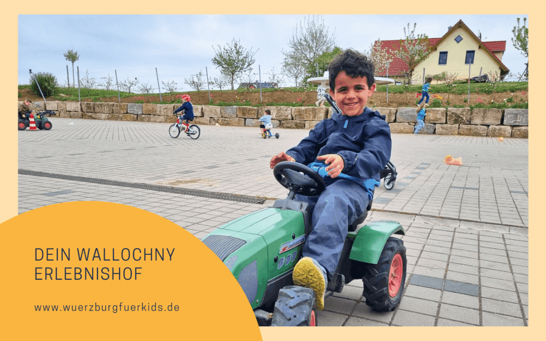 Der unvergessliche Wallochny Hof Familienausflug: mit Alpaka-Wanderung, Kindergeburtstag & tierisch-tollen Erlebnissen