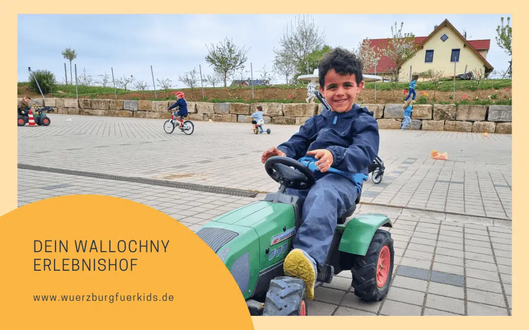 Der unvergessliche Wallochny Hof Familienausflug: mit Alpaka-Wanderung, Kindergeburtstag & tierisch-tollen Erlebnissen