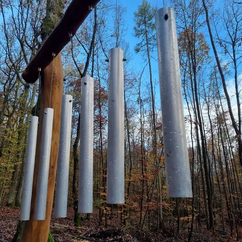 20221116_115234-klein(1)