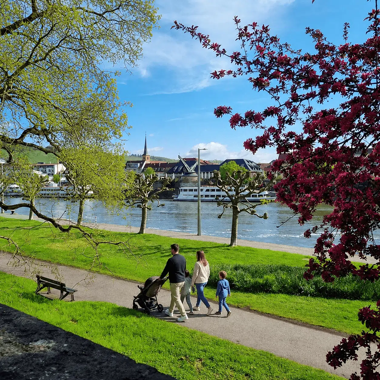 Familie mit Kinderwagen spaziert am grünen Mainufer in Würzburg entlang, mit Blick auf den Fluss und die Stadt.