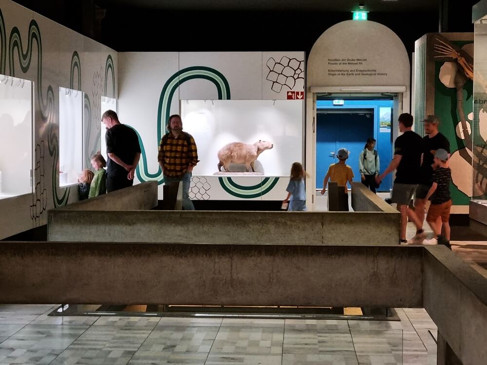 Familien erkunden einen weitläufigen Ausstellungssaal im Senckenberg Naturmuseum Frankfurt