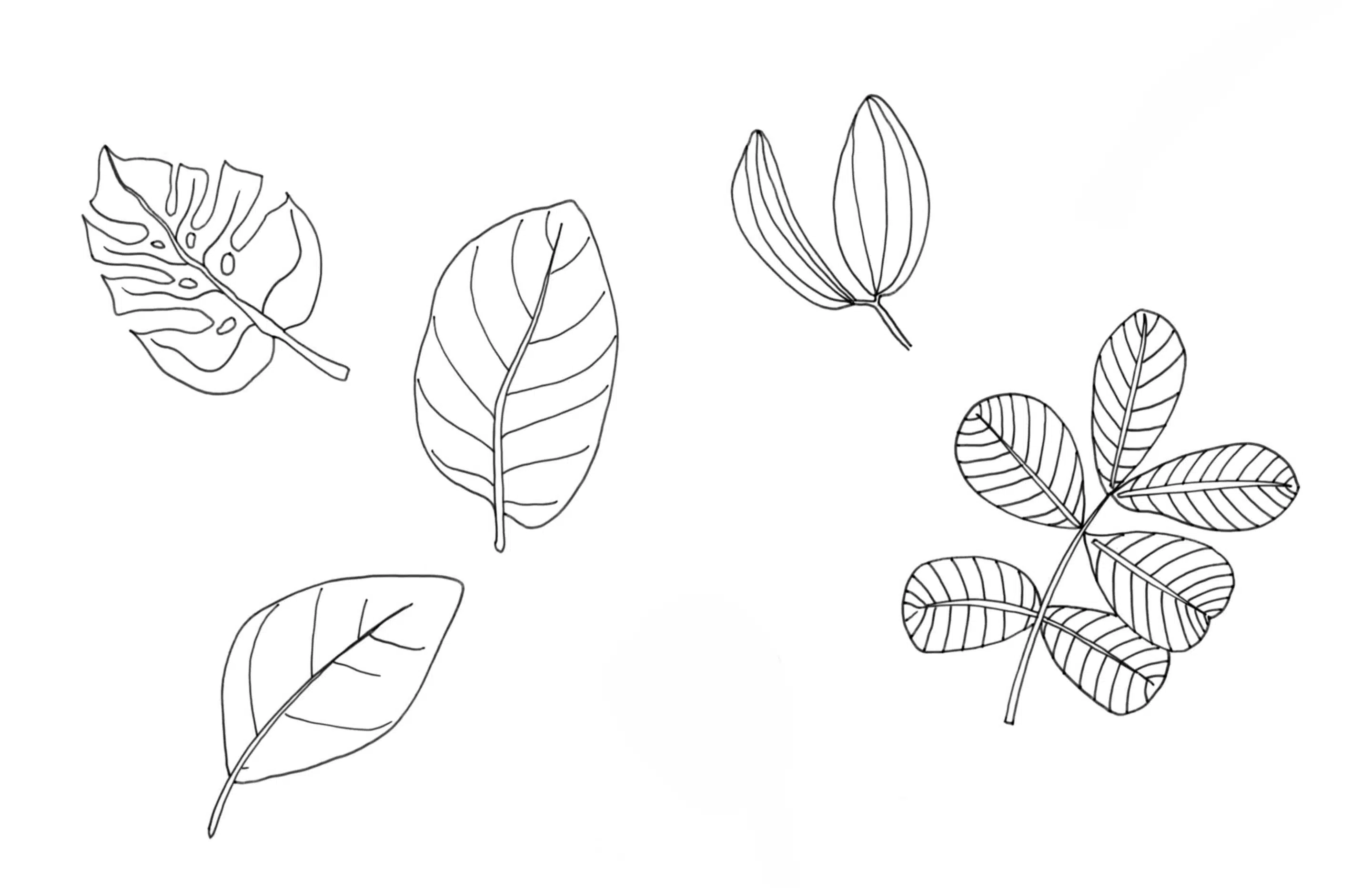 Herbst-Freebie